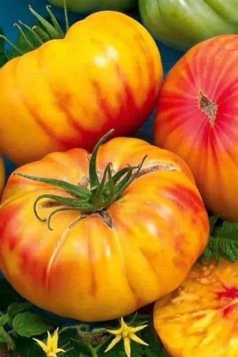 The 18 Best Heirloom Tomato Varieties To Grow In Your Garden This Year