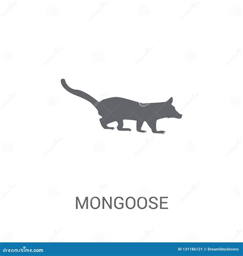 Mongoose Icon Trendy Mongoose Logo Concept On White Background Stock