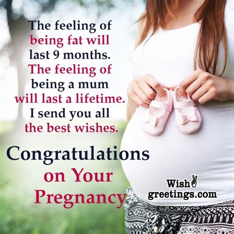 Pregnancy Wishes Messages Wish Greetings