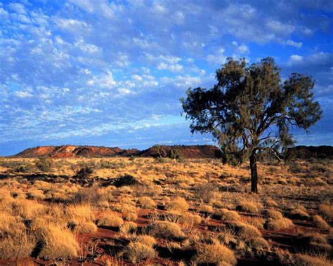 A Beginner's Guide To The Outback | Halfway Anywhere