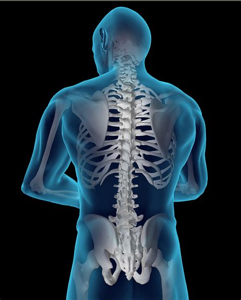 Lower Back Pain 360 Physiotherapy Norwich