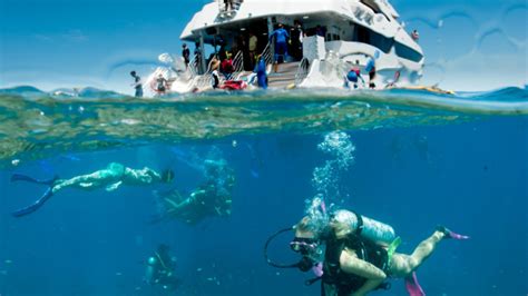 Great Barrier Reef Tours Cairns Full Or Half Day Upgrade To