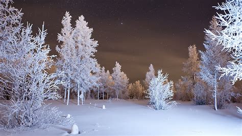 24 1600x900 Winter Wallpaper Wallpapersafari