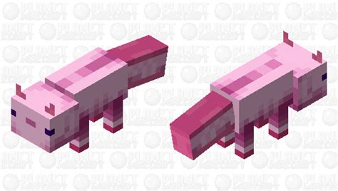 Faxolotl Axolotls Minecraft Mob Skin