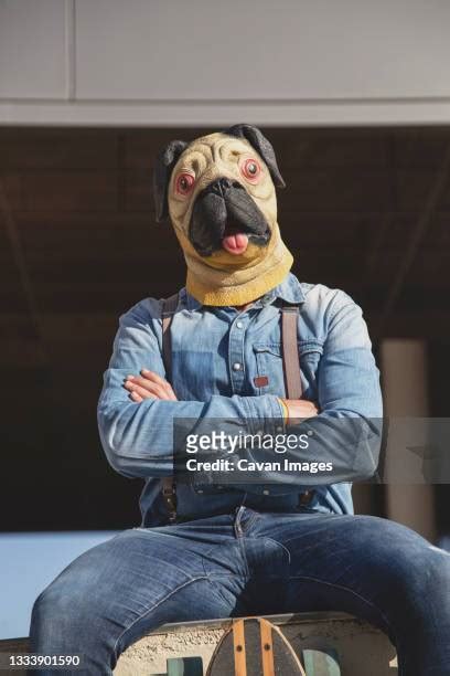 Dog Head Human Body Photos And Premium High Res Pictures Getty Images