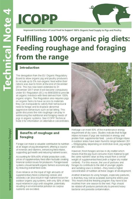Fulfilling 100 Organic Pig Diets Feeding Roughage And Foraging From