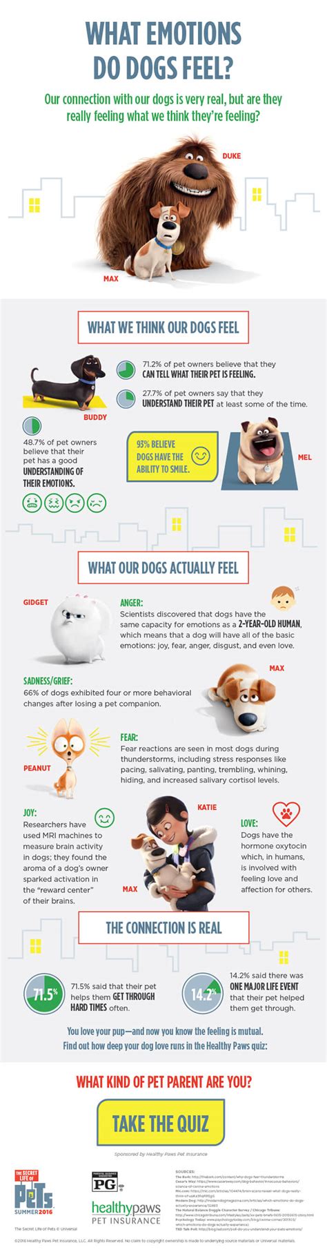 Emotions Dogs Feel Infographic Healthy Paws