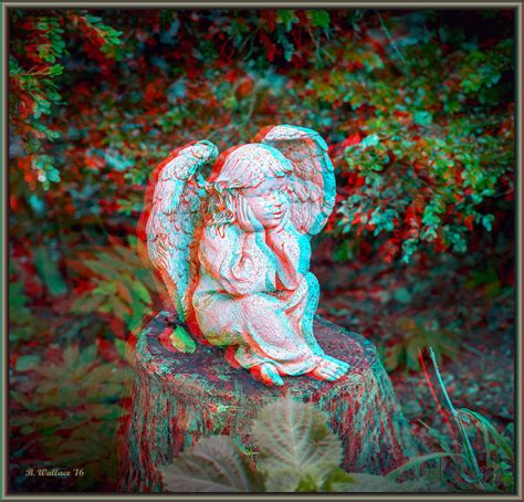 Stumped Use Red Cyan 3d Glasses Photograph By Brian Wallace Fine Art America