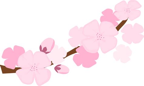 Clip Art Cherry Blossom
