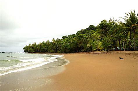 Playa San Pedrillo Plages Mer Parc National Corcovado P Ninsule