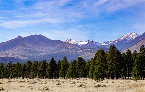 The Best Things To Do In Flagstaff Arizona The Globetrotting Teacher