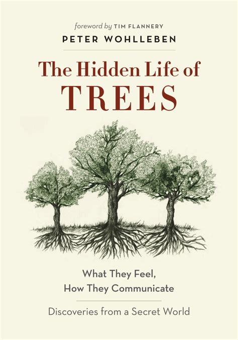 The Hidden Life Of Trees By Peter Wohlleben Great Escape Books