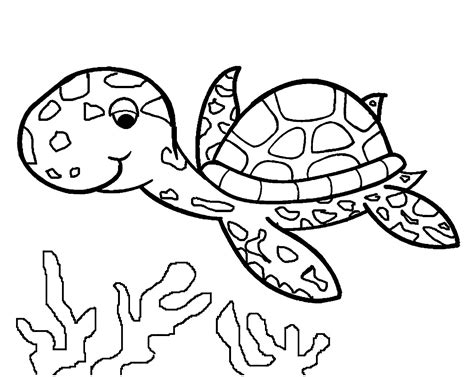 Image Of Turtle To Download And Color Turtles Kids Coloring Pages