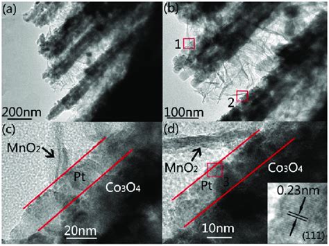 Tem Images Of The Co 3 O 4 Ptmno 2 Nanowires Taken At Different