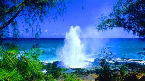 Hd Beach Kauai Hawaii Wallpaper Download Free 144694