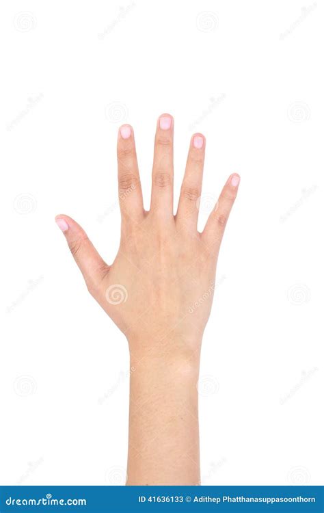 Woman Right Hand Showing The Five Fingers Isolated Stock Image Image