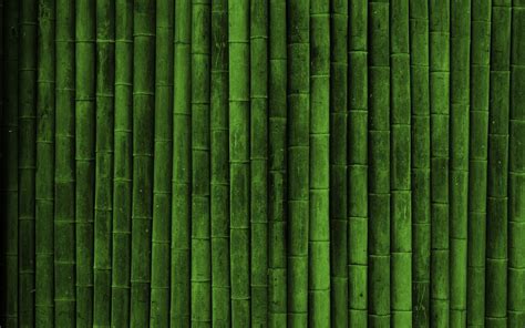 Wallpaper Branch Green Texture Realistic Interior Design Bamboo