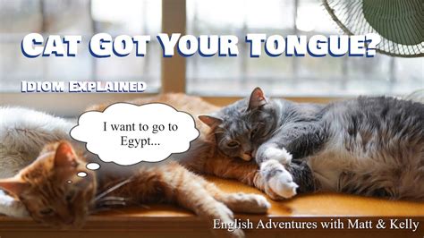 Cat Got Your Tongue What Does That Mean Learn English Idioms Youtube