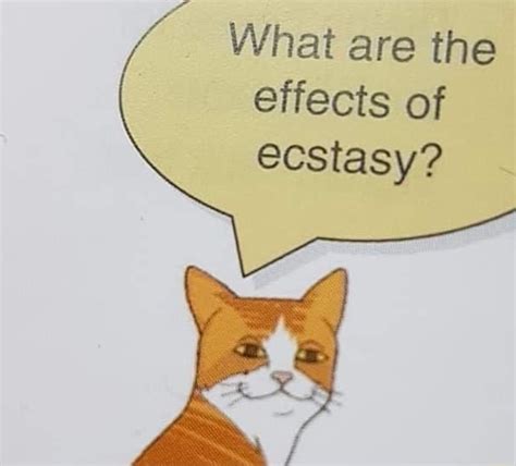 what are the effects of ecstasy ifunny