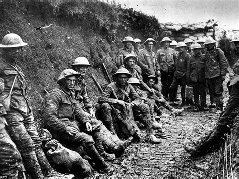 Trenches In Ww1 Rats