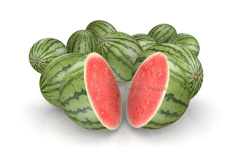 Watermelon~Watermelon | Watermelon, Watermelon art, Watermelon patch