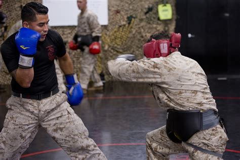 Dvids Images Martial Arts Instructor Course Image 6 Of 12