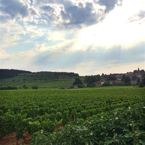 Beautiful Burgundy Along The Route Des Grands Crus Monthélie