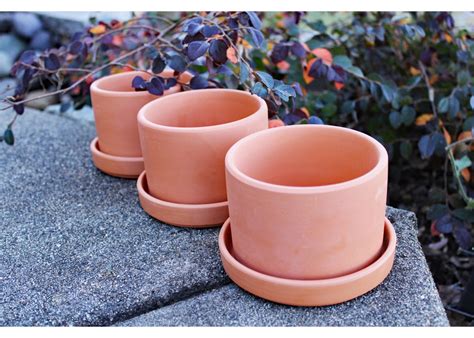 Natural Terracotta Round Fat Walled Garden Planters With Individual Tr