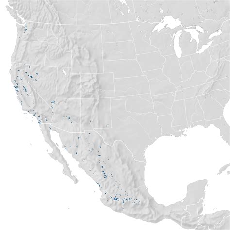Clarks Grebe Range Map Non Breeding Ebird Status And Trends