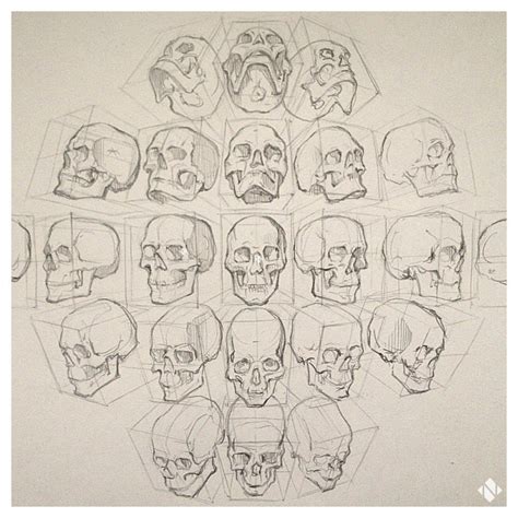 Perspective Drawing Heads Skull Drawing Skull Art Face Drawing