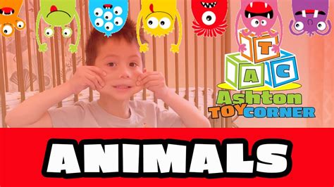 Animal Discovery I Ashton Toy Corner Youtube