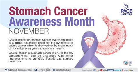 Stomach Cancer Awareness Month November 2023 Theme And Importance