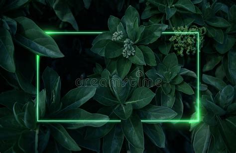Bright Neon Frame With White And Green Glow On Background Of Tropical