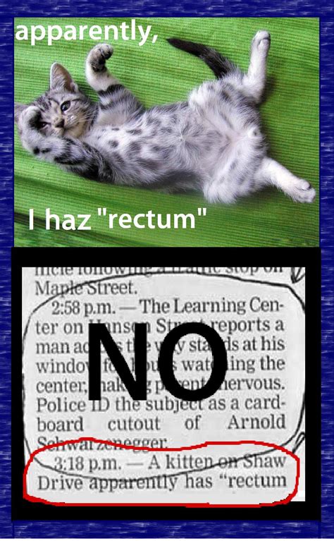 I Can Haz Rectum Cats Know Your Meme