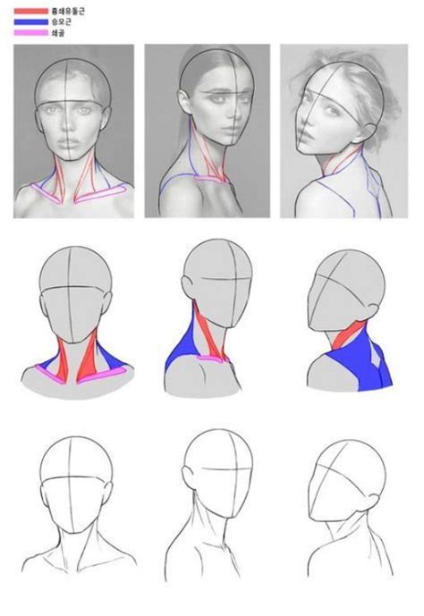 56 Ideas For Drawing Reference Head Positions Drawingtechniques