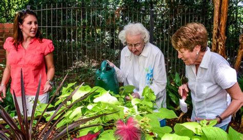 Gardening Tips To Empower Senior With Alzheimers Five Star Senior