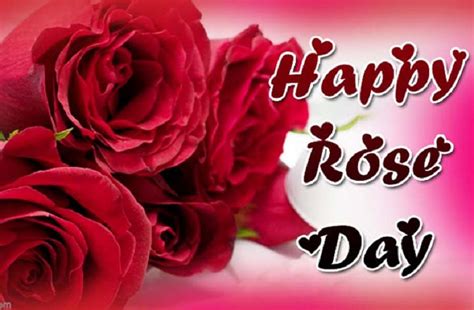 Rose Day गुलाब देकर करें अपने प्यार का इजहार Valentine Weekrose Day