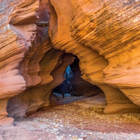 Over 156 buckskin gulch pictures to choose from, with no signup needed. Buckskin Gulch, the world's most incredible slot canyon ...