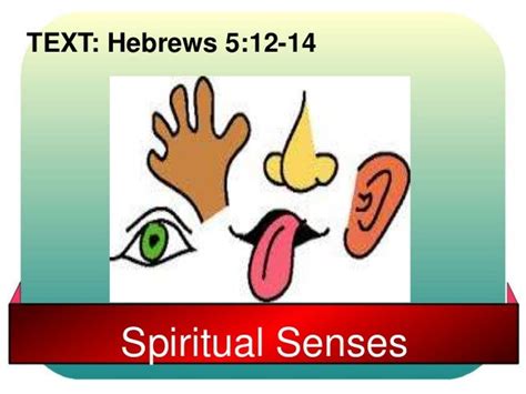 Spiritual Senses