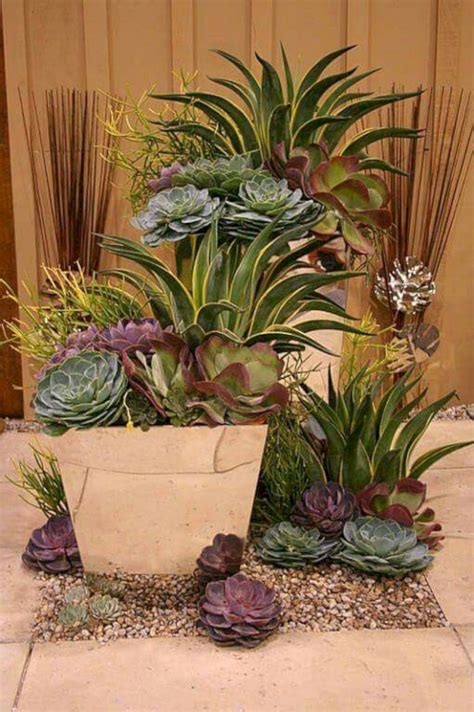 The Ultimate Guide To Creating A Beautiful Cactus Succulent Garden