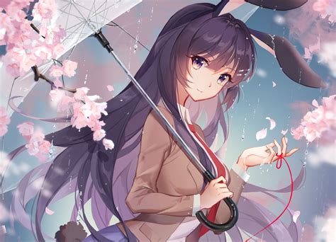 Top More Than Bunny Girl Senpai Wallpaper Super Hot In Cdgdbentre