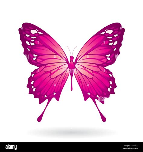 Vector Illustration Of A Colorful Butterfly Isolated On A White