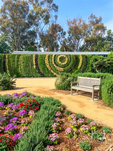 I Visited South Coast Botanic Garden And This Is What Happened Posh