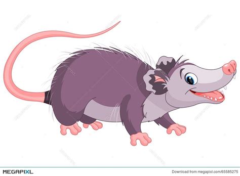 Opossum Opossum Illustration Clip Art