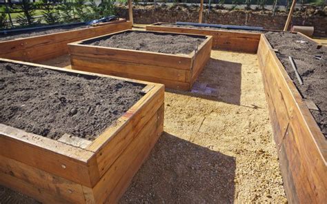 We did not find results for: 25 DIY Raised Garden Beds: Corrugated Metal, Wood, Galvanized