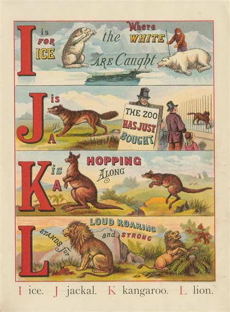 10 Public Domain Images The Abc Of Animals Vintage Childrens Book Free
