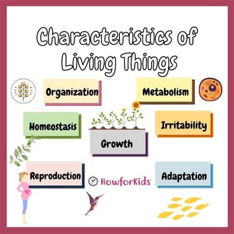 7 Basic Characteristics Of Living Things Concept Map Map