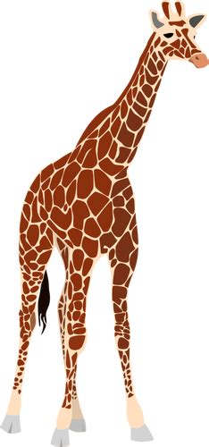 Vector Illustration Of Tall Brown Giraffe Public Domain Vectors