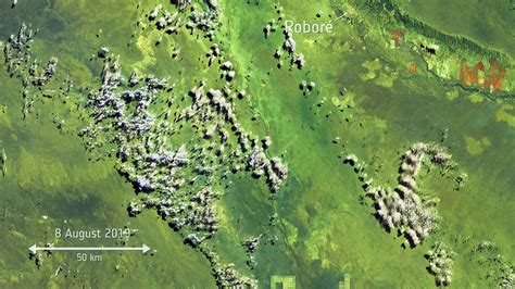 Paraguay comenzó como un vendaval el complemento, mientras los bolivianos resistían apenas. Wildfires on the border between Bolivia, Paraguay and ...