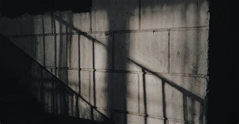 Shadows On A Wall · Free Stock Photo